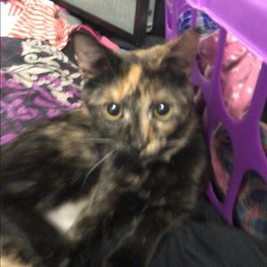 Meet your Posher, Jack